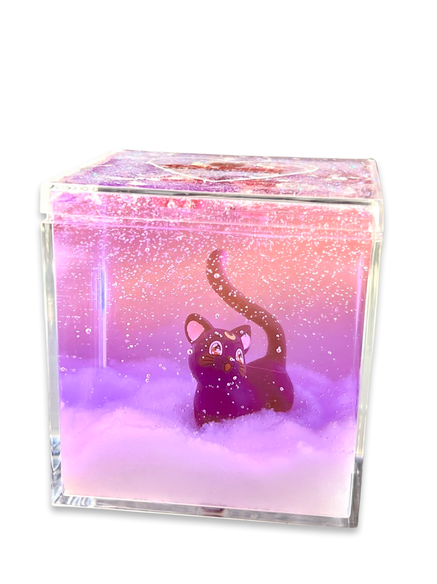 Iridescent Neon Luna In Snow In Holographic Cube!